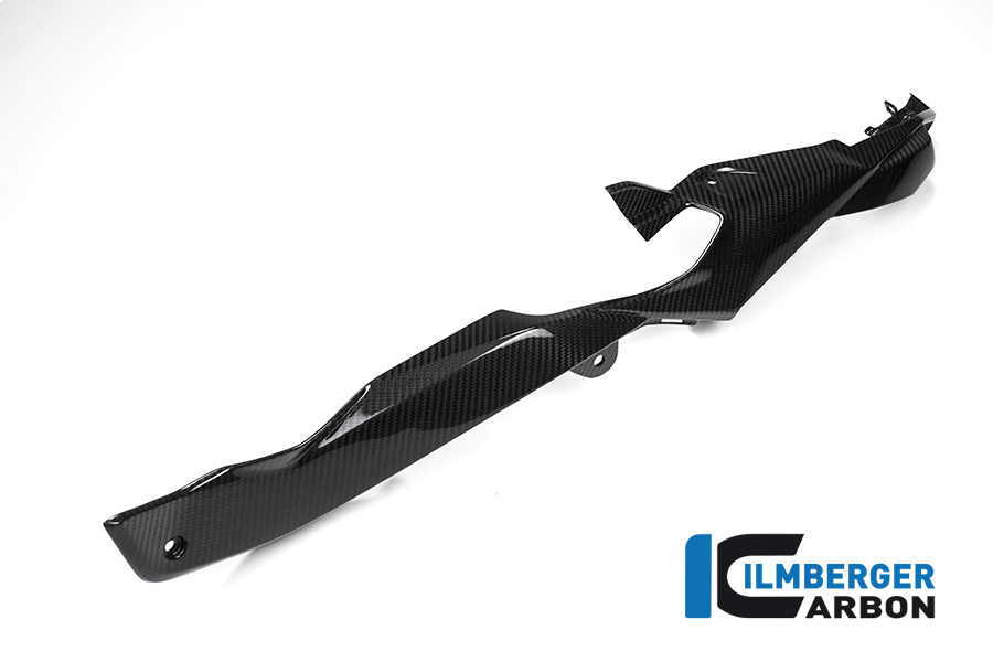 bmw_s1000xr_carbon_rhr_2_2 Rahmenheckverkleidung rechts  S 1000 XR Bj 2015-2019
