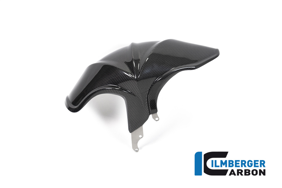 Parafango posteriore in carbonio per BMW R1250R R1250RS