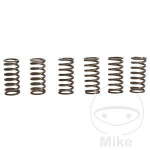 Ressorts d'embrayage renforcés TRW pour BMW F 650 ST GS