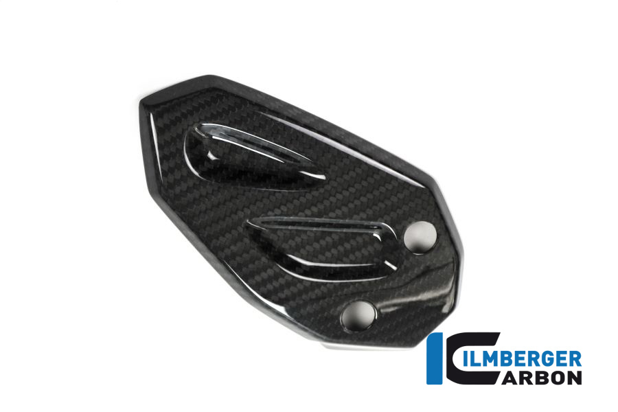 Protección de carbono derecha con ABE para BMW S1000XR