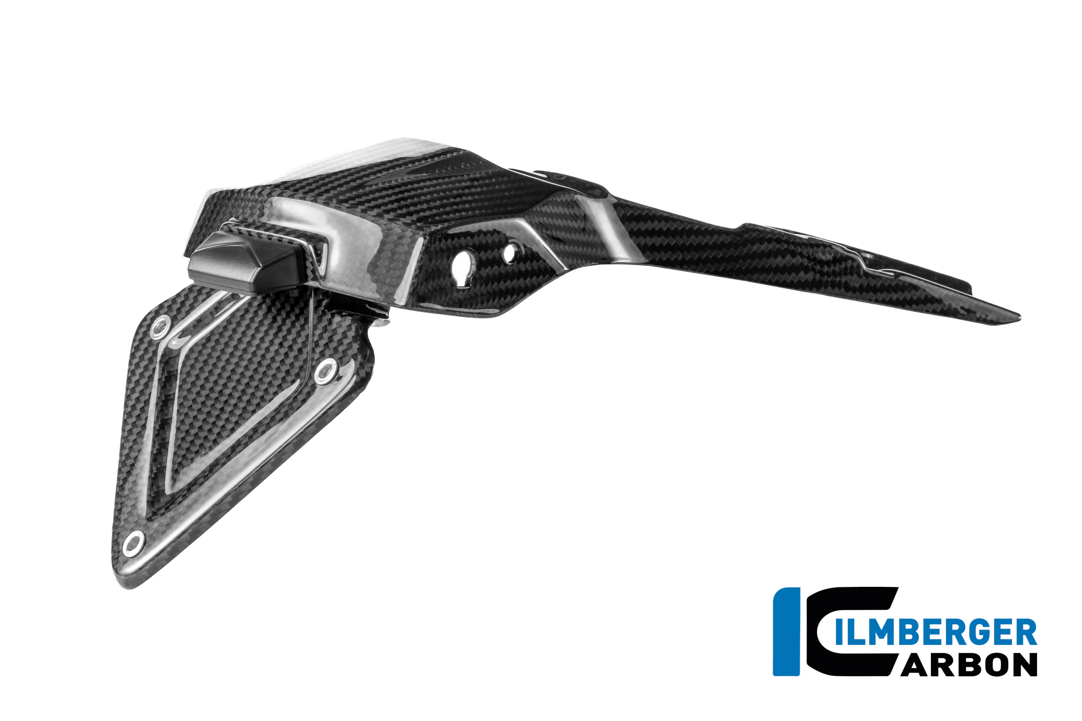 Carbon Kennzeichenträger glänzend für BMW R 1300 R