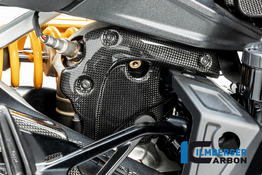 Parafango Termico in Carbonio al Collettore Lucido Ducati Diavel 1260 dal 2019