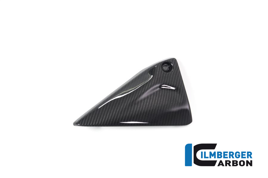 BMW_r1250gs_ilmberger_carbon_RDL_023_GS19_K_3