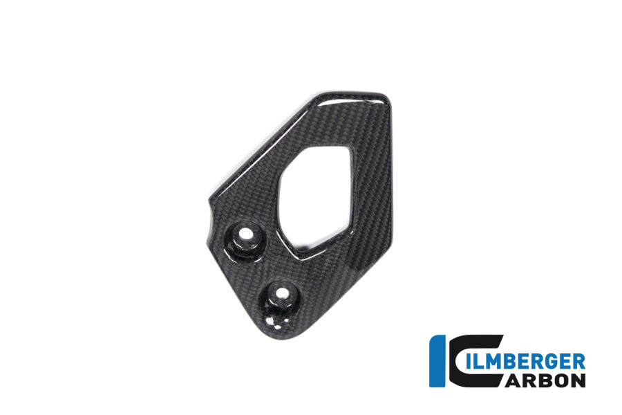 Protección de carbono para el lado izquierdo de la BMW R1250GS + Adventure