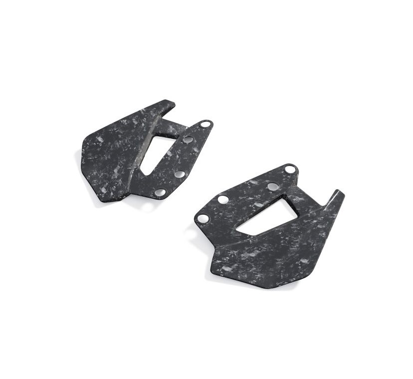 Deflector de viento de carbono original BMW para la R1300GS