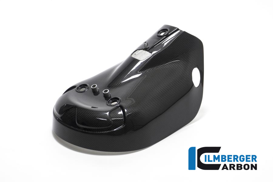 Parafango in carbonio lucido per scarico Ducati Panigale 1299 dal 2015 / V2