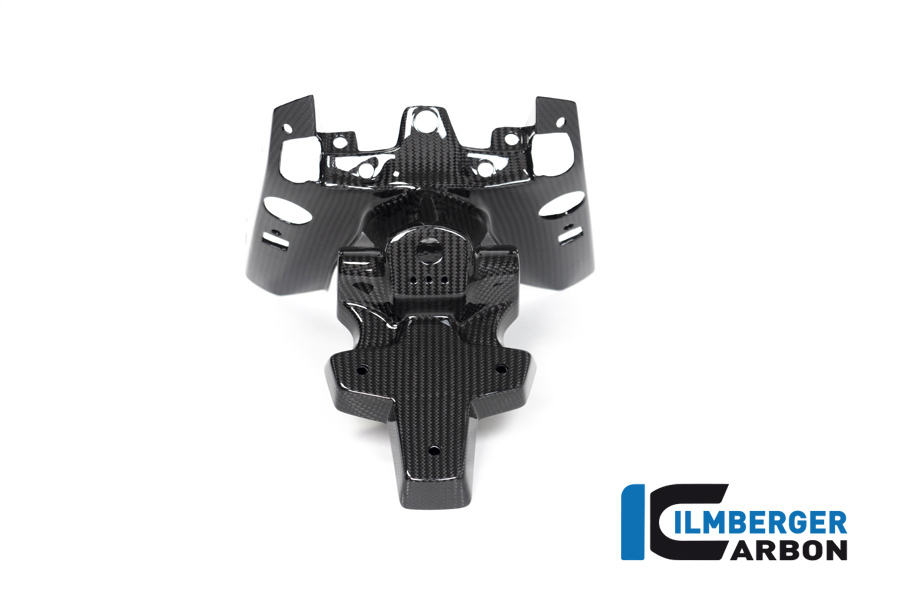 BMW_R1250R_Ilmberger_Carbon_NHO_011_R125R_K_5