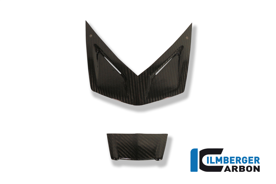 Carbon Headlight Fairing Cover for BMW K1300S