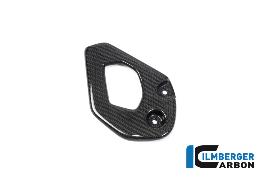 Protección de carbono para el lado derecho de la BMW R1250GS
