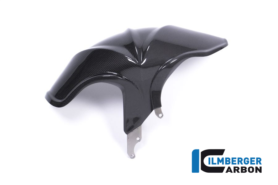 Guardabarros trasero de carbono para BMW R1200R LC / R1200RS LC