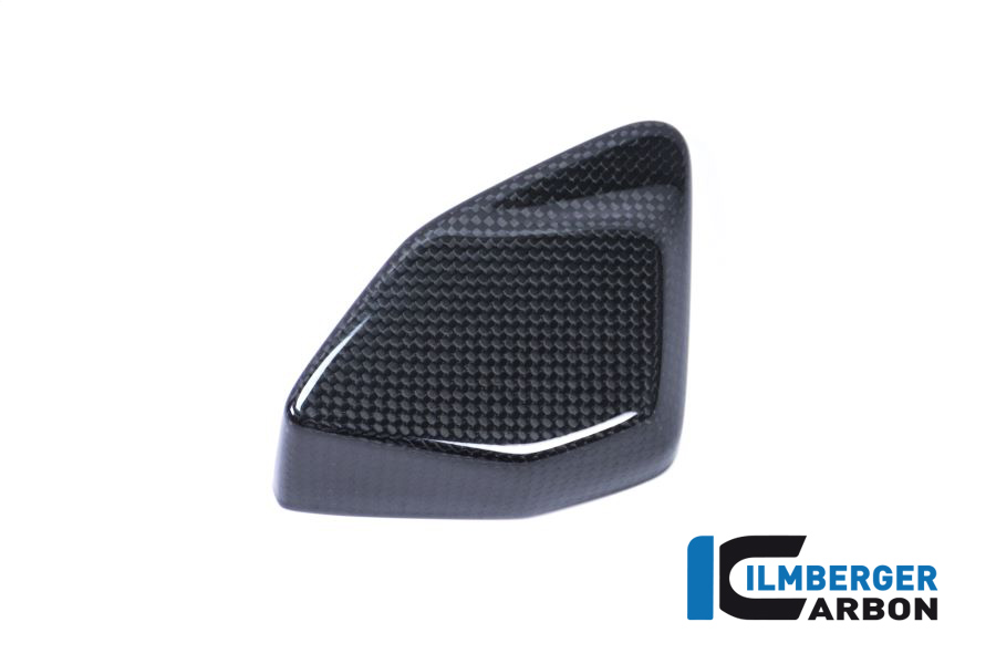 Couverture en carbone ESA Box protection contre les éclaboussures amortisseur pour BMW R1200GS LC à partir de 17