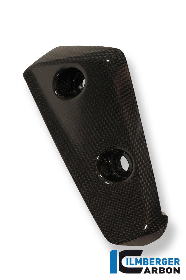 Aleta de carbono en el guardabarros delantero derecho para Triumph Speed Triple