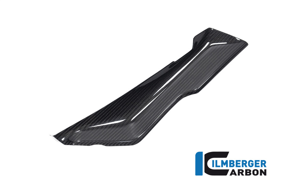 Copertura in carbonio sotto il carenaggio superiore sinistro per BMW R 1250 RS