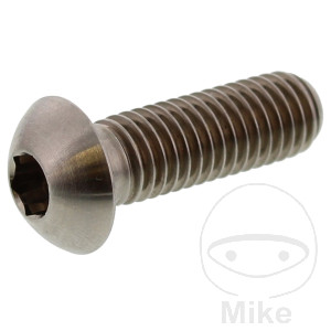 Vis de disque de frein M8X1.25 mm 25 mm Titan C1 125/200 pour BMW R 1200 C CL