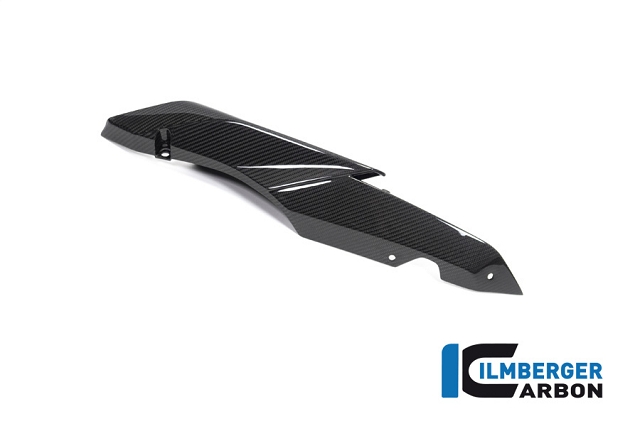 k-BMW_R1250R_Ilmberger_Carbon_SIL_009_R125R_K_5