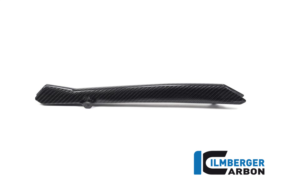 BMW_r1250gs_ilmberger_carbon_BLA_031_GS19T_K_2