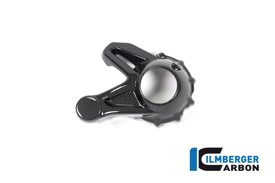 Coperchio in carbonio per alloggiamento del cardano per BMW R1250 R RS GS + Adventure (Installazione senza parafango posteriore)