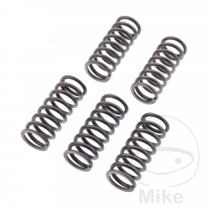 Reinforced clutch springs EBC set of 6 for BMW G310GS G310R