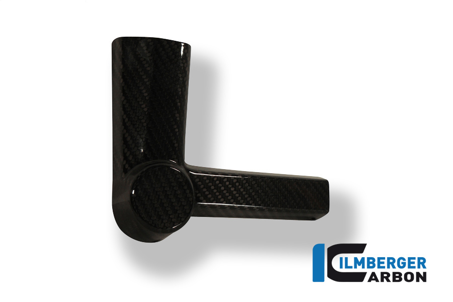 bmw_s1000rr12_carbon_spl1_156wQd9Ycld8ea Crashpade on the frame (left) Carbon - BMW S 1000 RR Stocksport/Racing (2010-now)