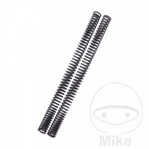 Molla della forcella progressiva YSS per BMW F650GS Dakar 2000-2008