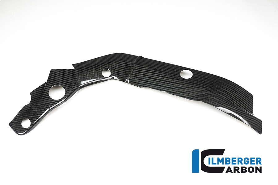 bmw_s1000xr_carbon_rar_1_3 Rahmenabdeckung rechts  - BMW S 1000 XR Bj 2015-2019