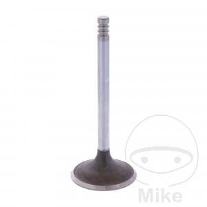 Intake Valve Siebenrock