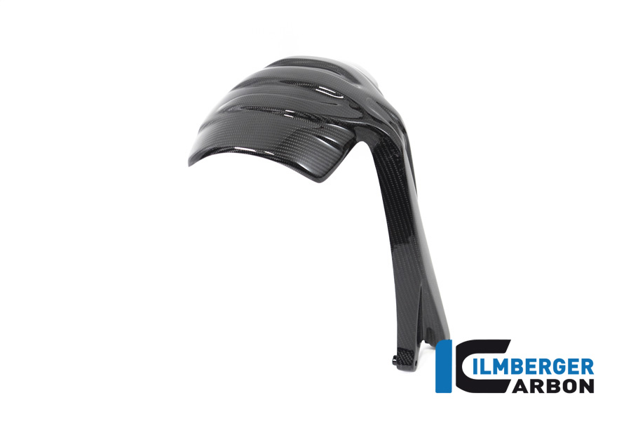 BMW_r1250gs_ilmberger_carbon_SPS_010_GS19T_K_4