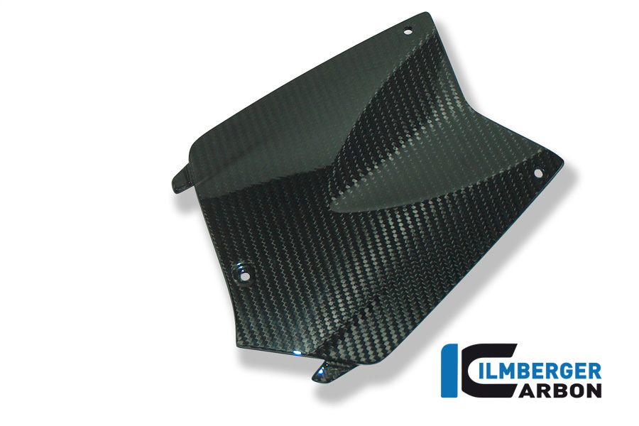 Battery Cover Carbon - BMW K 1200 R (2005-2008) / K 1200 R Sport (2007-2011) / K 1300 R (2008-now)