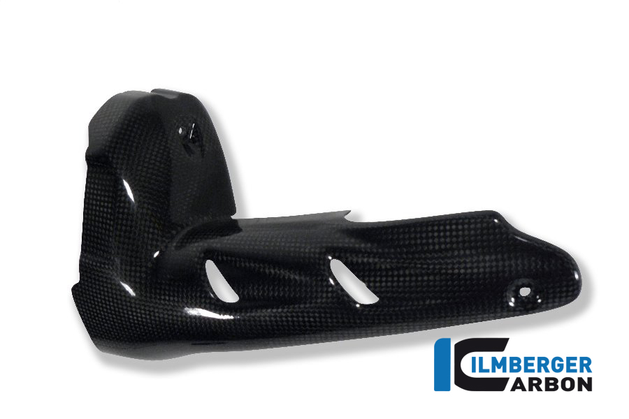 Silencer Protector Carbon - BMW R 1200 GS (LC from 2013)