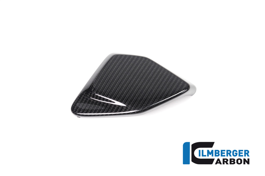 Cubierta de carbono ESA Box para BMW R1250GS + Adventure