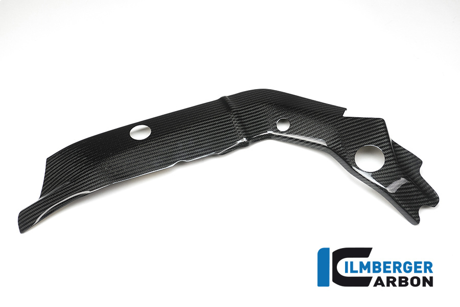 bmw_s1000xr_carbon_ral_1_2 Rahmenabdeckung links BMW S1000 XR Bj 2015-2019
