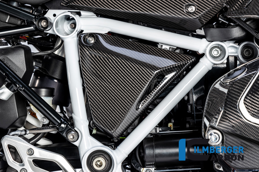 BMW_R1250R_Ilmberger_Carbon_40_1